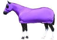 Horse Blankets