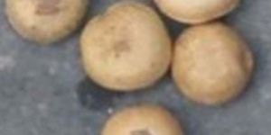 Clearing Nuts