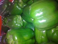 Capsicum