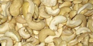 K Grade Dried Cashew Nuts