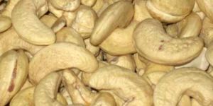W210 Grade Dried Cashew Nuts