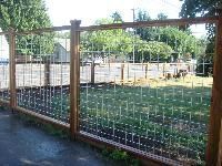 Wire Fencing