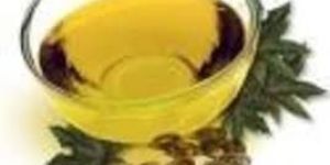 Castor Seeds and Oil