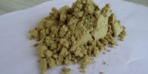 Moringa Extract Powder