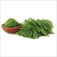 Moringa Leaves