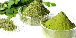 Moringa Powder