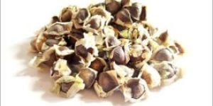 Moringa Seeds