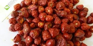 Mundu & Round Chilli