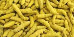 Turmeric