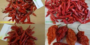 Whole Chilli