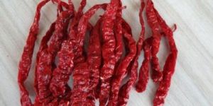 Wrinkle / Byadgi Chilli