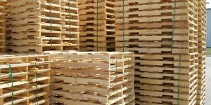 Rubber Wood Pallet