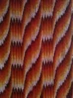 Ikat Fabric, Handloom Fabrics