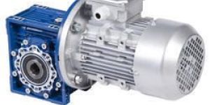 Worm Gear Motor