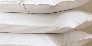 Cotton Pillow Cover
