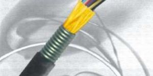 Fiber Optic Cable