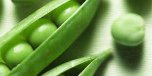 Fresh Green Peas