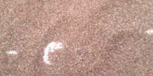 Garnet Abrasive