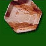 Small Hexagon Leaf Plates