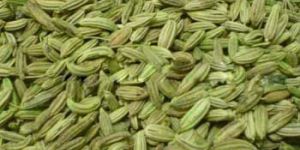 Fennel Seeds