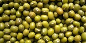 Mung Beans