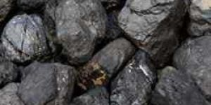 Steam Coal