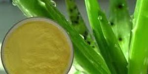 Aloe Vera Extract
