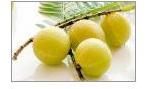 Amla