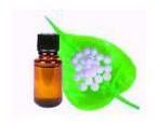 Camphor Oil