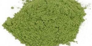 Gymnema Extract
