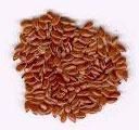 Flax Seeds