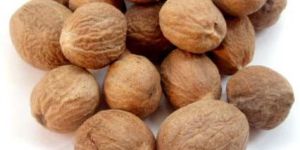Nutmeg