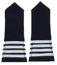 Police Shoulder Badge