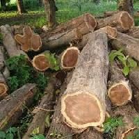 Teak Round Logs