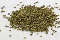 Dehydrated Green Pepper