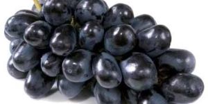 Fresh Black Grapes