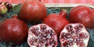 Fresh Pomegranate