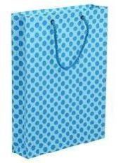 Fancy Printed Carry Bags