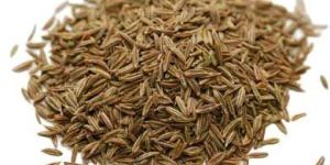 Cumin Seeds