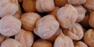 Kabuli Chickpeas
