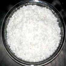 Sabudana