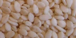 Sesame Oil Seeds