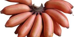 Red Banana