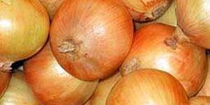 Fresh Onion