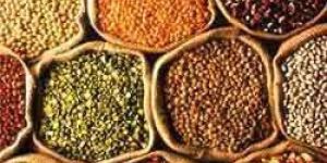 Indian Pulses