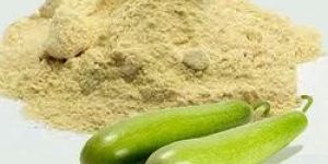 Dehydrated Bottle Gourd Powder