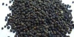 Black Pepper Seeds