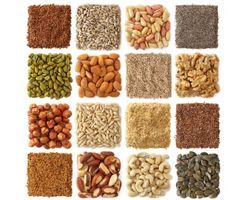 Edible Oil Processing Machine