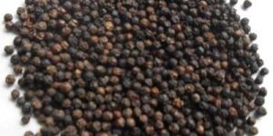 Black Pepper