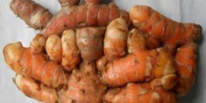 Raw Turmeric